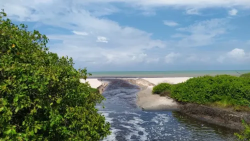 
				
					Pocilgas construídas às margens do Rio Jaguaribe são demolidas
				
				