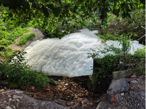 
				
					Pocilgas construídas às margens do Rio Jaguaribe são demolidas
				
				