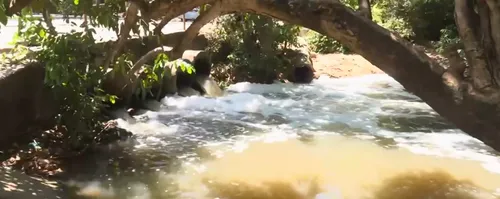 
				
					Poluição no Rio do Cabelo preocupa moradores na Zona Sul de João Pessoa
				
				