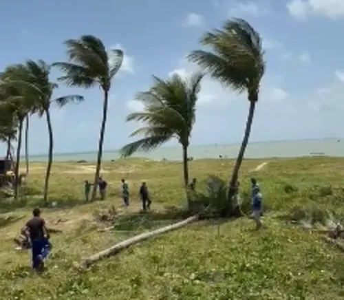 
				
					Retirada de coqueiros na orla de Camboinha é ação de recuperação ambiental, diz MPF
				
				