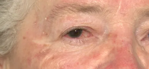 
				
					Do transformador gigante ao ataque da leoa: veja 25 fatos que marcaram a Paraíba em 2025
				
				