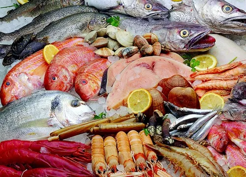 
					Semana Santa: veja como escolher peixe fresco e evitar prejuízos na hora da compra
				
				