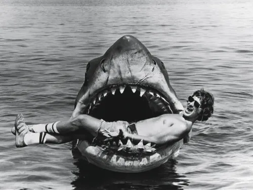 
				
					Tubarão faz 50 anos
				
				