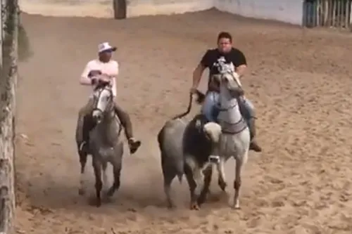 
				
					Vaquejada em Campina Grande
				
				