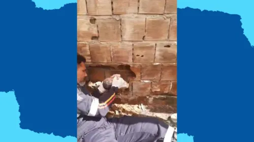 
					Morte de recém-nascido abandonado passa a ser investigada como infanticídio
				
				