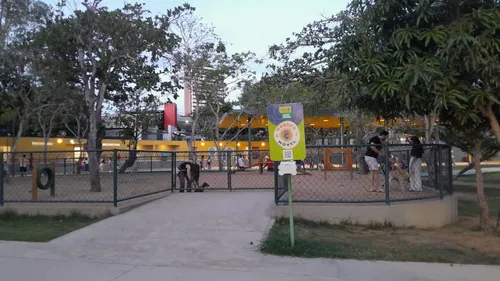 
					Cães acompanham tutores em passeios pelo Parque do Povo durante o São João de Campina Grande
				
				