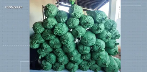 Homem é preso com 430 kg de drogas em operação policial na Paraíba