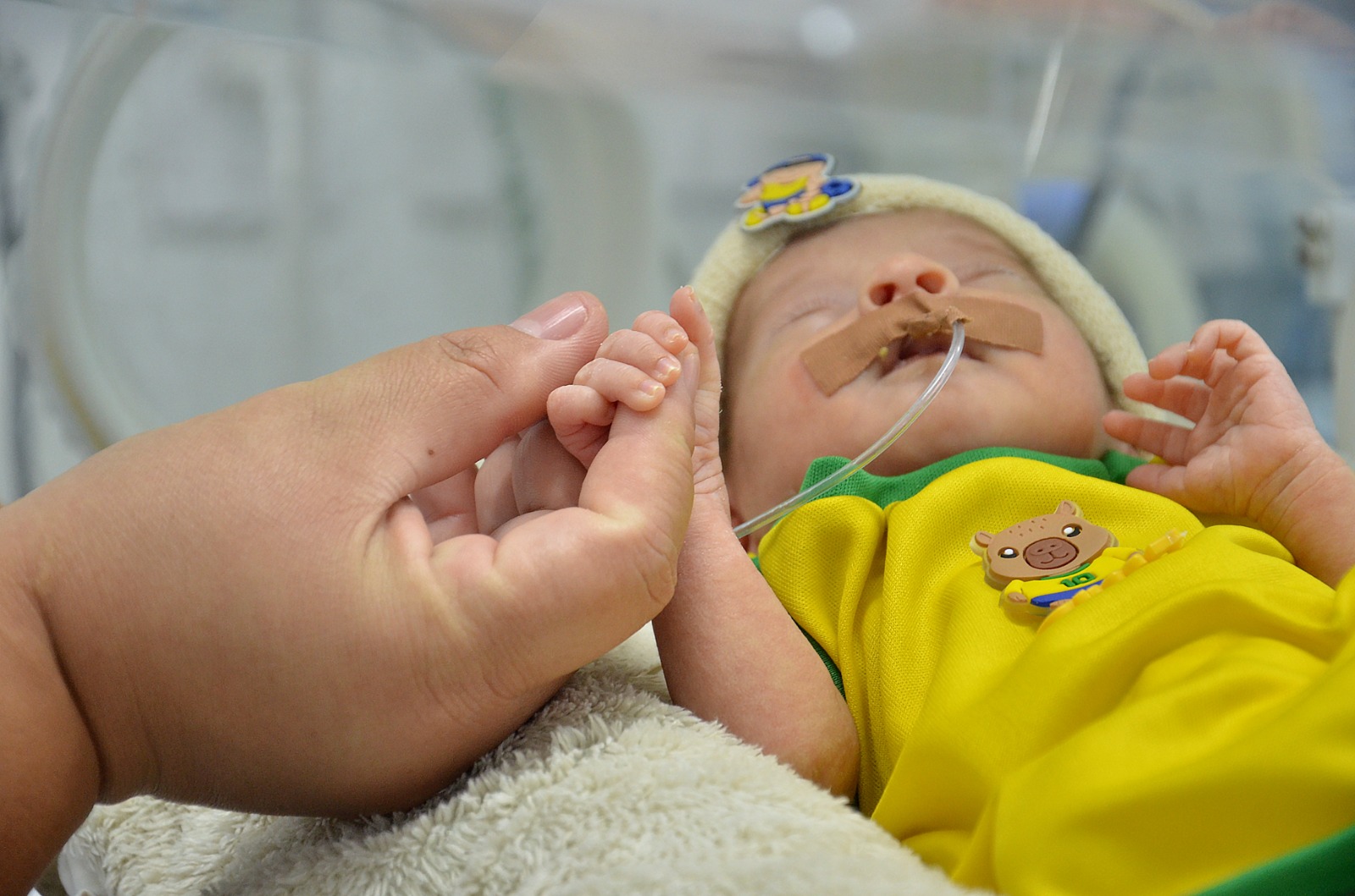 Copa do Mundo: recém-nascidos são vestidos com cores do Brasil em maternidade de Campina Grande