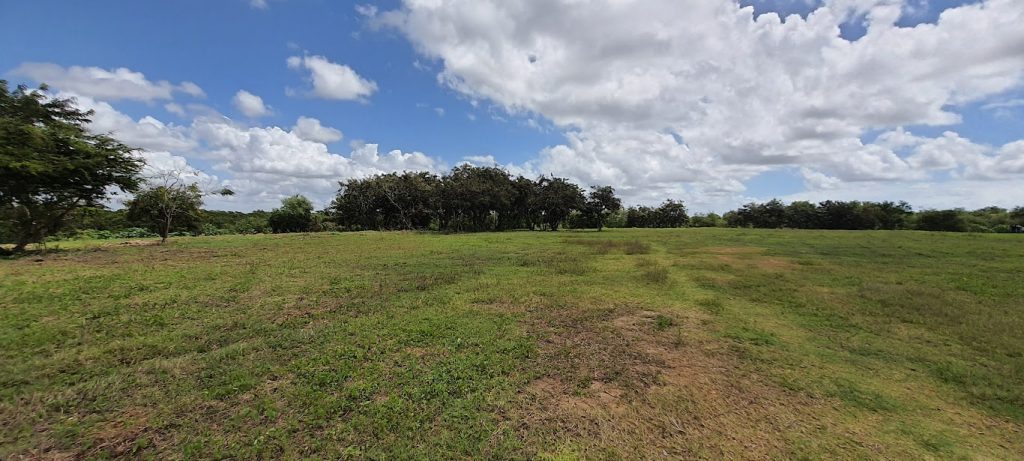 Parque do Roger: após paralisar obra, Prefeitura apresenta defesa ao TCE de contrato milionário