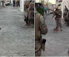 Cachorro de pequeno porte confronta polícia durante abordagem em João Pessoa