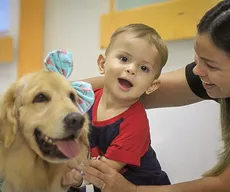 Cães terapeutas ajudam pacientes a enfrentar rotina em hospitais de João Pessoa