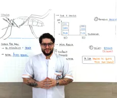 Lá Vem o Enem: videoaula explica como dengue, clima e saúde pública podem ser cobrados no exame