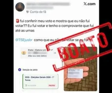 Mensagem ‘Faltou’ no site do TSE não significa que eleitor não votou; entenda
