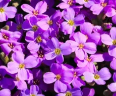Primavera: meteorologia prevê redução de chuvas e aumento da temperatura na Paraíba