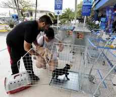 TJPB derruba lei que obriga supermercados de João Pessoa a adaptar carrinhos para pets