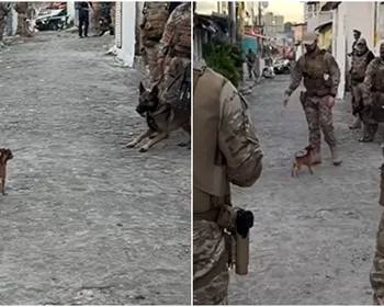 Cachorro de pequeno porte confronta polícia durante abordagem em João Pessoa
