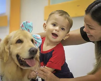 Cães terapeutas ajudam pacientes a enfrentar rotina em hospitais de João Pessoa