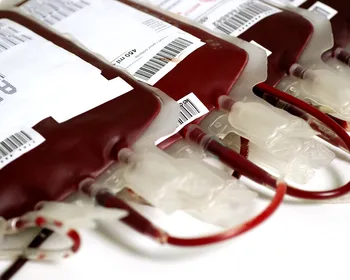 Doação de sangue: veja o que muda nas regras e onde doar na Paraíba