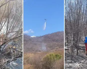 Incêndio que atingiu 800 hectares no Sertão da Paraíba é extinto