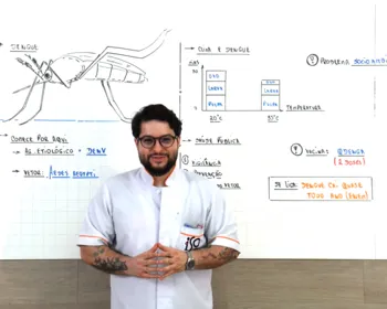 Lá Vem o Enem: videoaula explica como dengue, clima e saúde pública podem ser cobrados no exame
