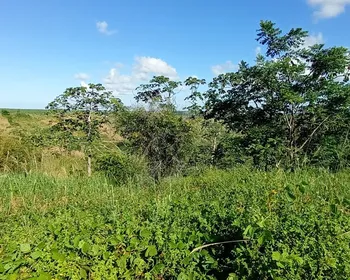 Operação do MP autua mais de 230 hectares de desmatamento ilegal na Paraíba