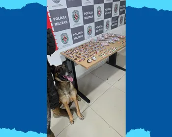 PM apreende drogas com auxílio de cão farejador em comunidade de Tambiá