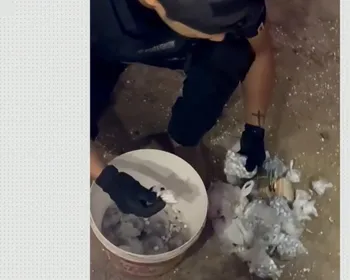 Polícia Civil apreende mil pedras de crack, arma e dinheiro durante operação em Alhandra