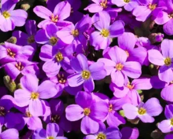 Primavera: meteorologia prevê redução de chuvas e aumento da temperatura na Paraíba
