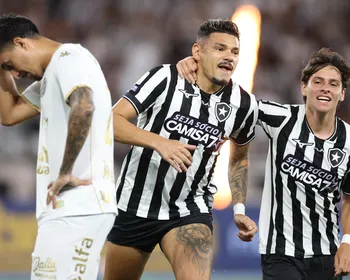 Tiquinho volta a marcar pelo Botafogo e se torna o maior artilheiro do clube nos pontos corridos