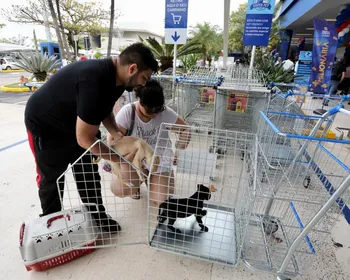 TJPB derruba lei que obriga supermercados de João Pessoa a adaptar carrinhos para pets