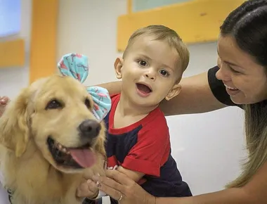 Cães terapeutas ajudam pacientes a enfrentar rotina em hospitais de João Pessoa