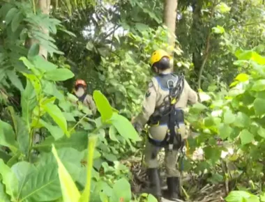 Corpo de Bombeiros confirma que corpo encontrado em mata de João Pessoa é de jovem desaparecida
