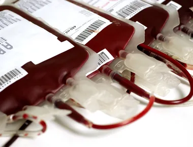 Doação de sangue: veja o que muda nas regras e onde doar na Paraíba