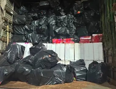 Mais de 25 mil pacotes de cigarros contrabandeados são apreendidos na BR-230, em Gurinhém