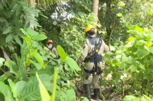 
					Perícia considera indeterminada causa da morte de jovem encontrada em mata, em João Pessoa
				
				