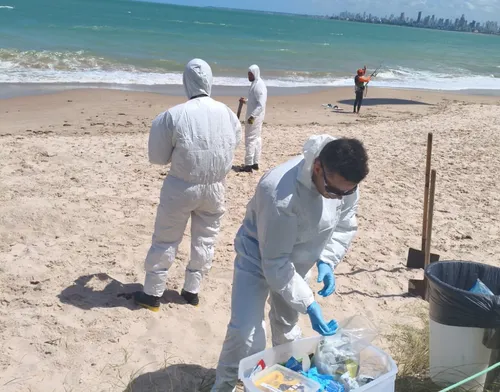 
					Golfinho é encontrado ferido e morto em praia de Cabedelo, na PB
				
				
