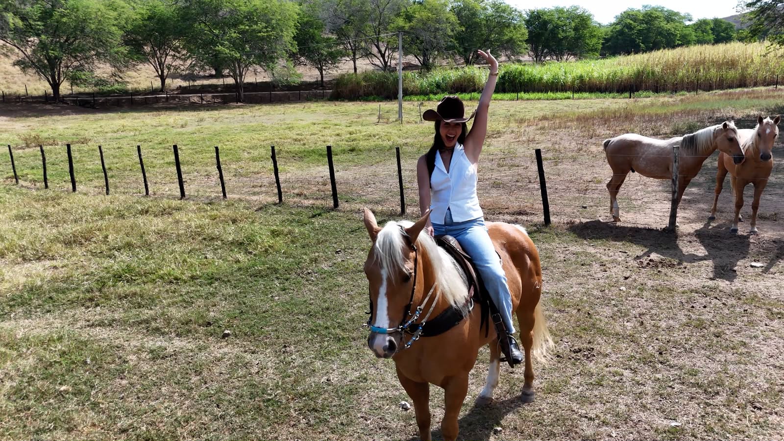 Minha Paraíba destaca a vaquejada, mulheres no esporte, cavalos campeões e estrelas do forró