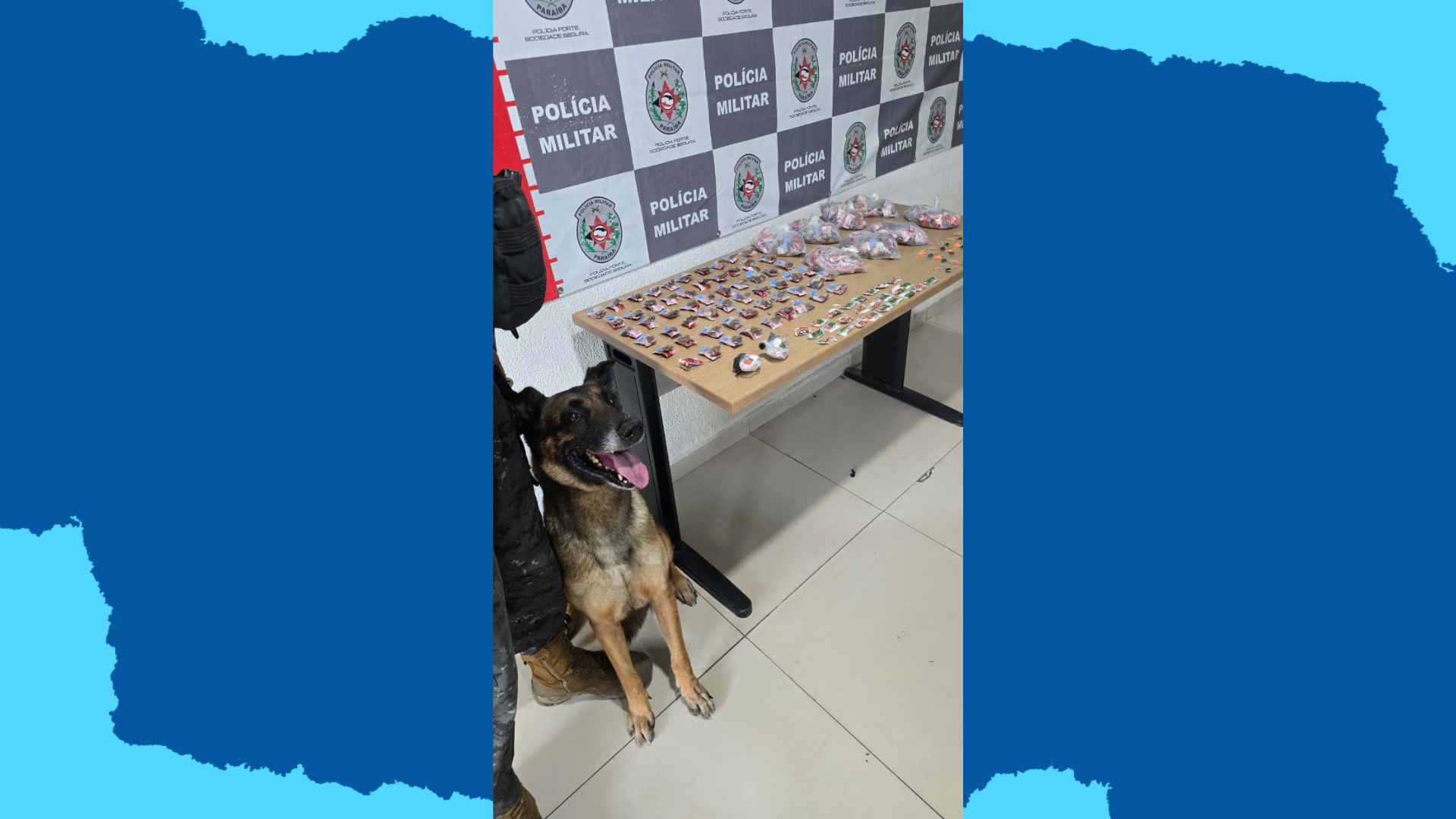 PM apreende drogas com auxílio de cão farejador em comunidade de Tambiá