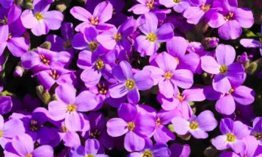 Primavera: meteorologia prevê redução de chuvas e aumento da temperatura na Paraíba