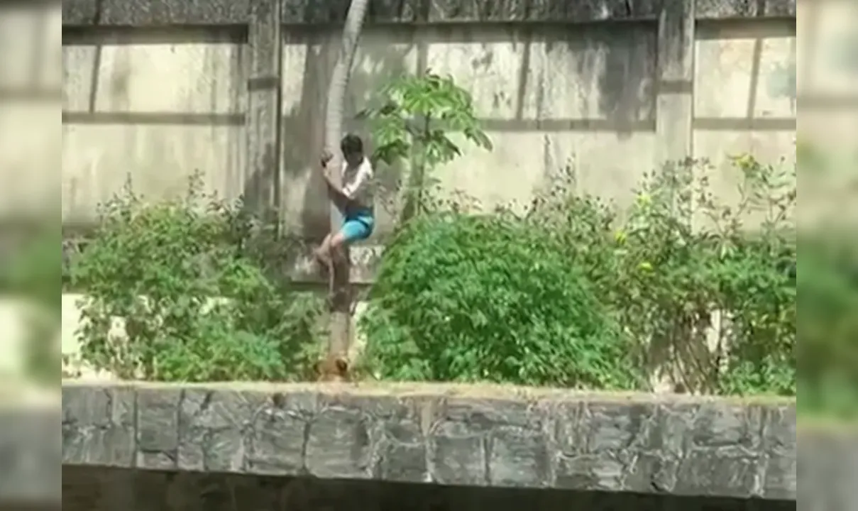 "Faltou acolhimento", diz juíza que determinou tratamento psiquiátrico a homem morto por leoa