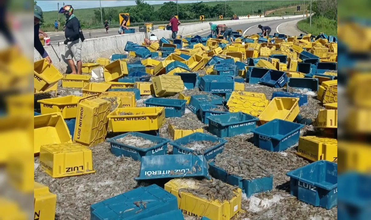 Caminhão com carga de camarão tomba e interdita BR-101, em Santa Rita