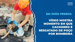 Cachorro é resgatado de dentro de um poço por bombeira, em João Pessoa