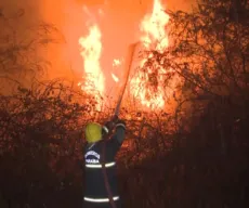 Incêndio atinge várzeas de Sousa e queima plantações de coco