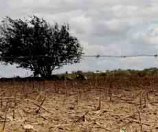 Paraíba é o segundo estado do país com maior número de municípios em crise hídrica