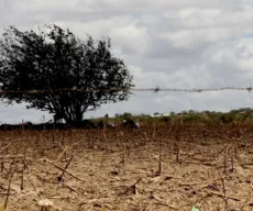 Seca atingiu 38 milhões de brasileiros em 2017 e cheias, 2 milhões