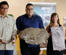 Cientistas brasileiros revelam descoberta de ovos de pterossauros com embriões