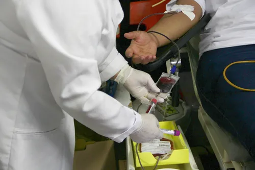 
				
					'Eu chamo de amor à vida', conta jovem sobre doação de sangue
				
				