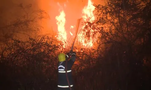 
                                        
                                            Incêndio atinge várzeas de Sousa e queima plantações de coco
                                        
                                        