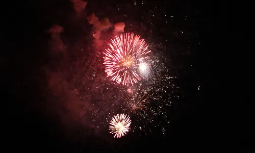 
                                        
                                            MP orienta que medidas contra fogos de artifício barulhentos sejam adotadas
                                        
                                        