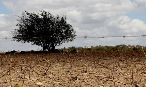 
                                        
                                            Paraíba é o segundo estado do país com maior número de municípios em crise hídrica
                                        
                                        